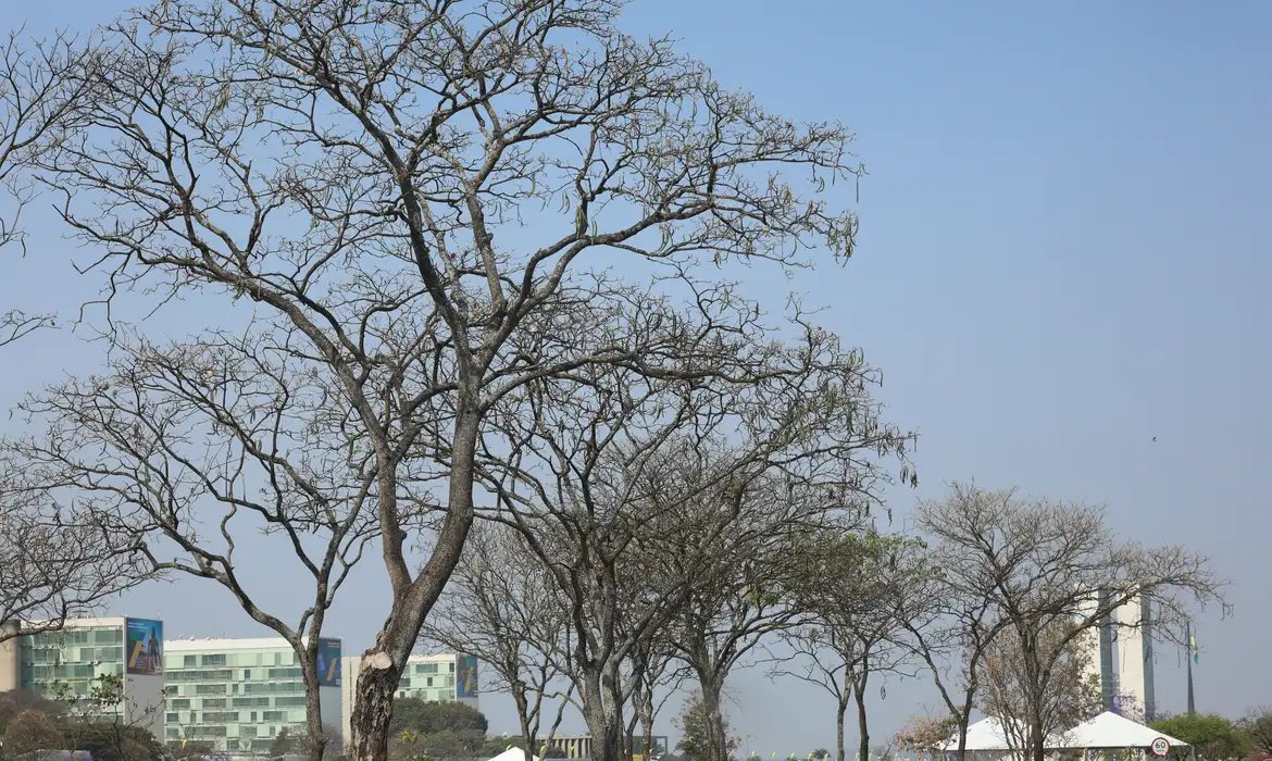 Distrito Federal e Cerrado entram na fase mais crítica da estiagem