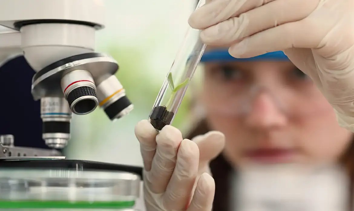 Observatório lança edital do programa Meninas Cientistas do ON