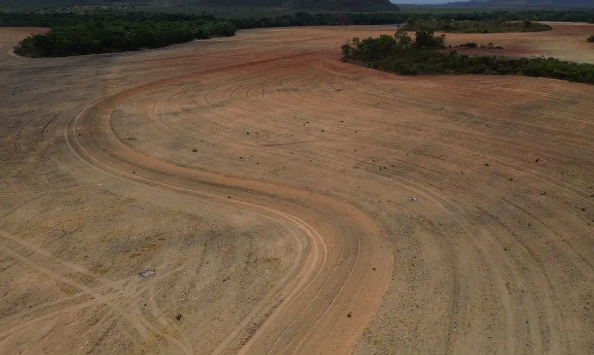 Alertas de desmatamento caem 37% na Amazônia e 8% no Cerrado