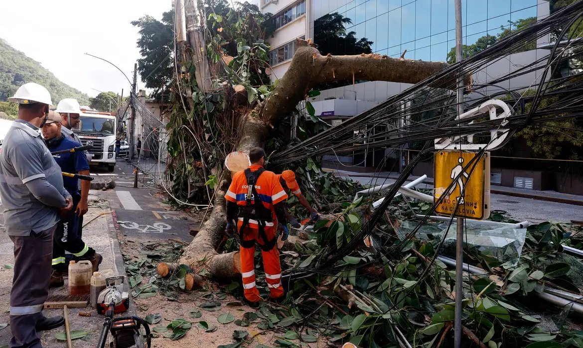 Rede elétrica mais resiliente requer investimento de concessionárias