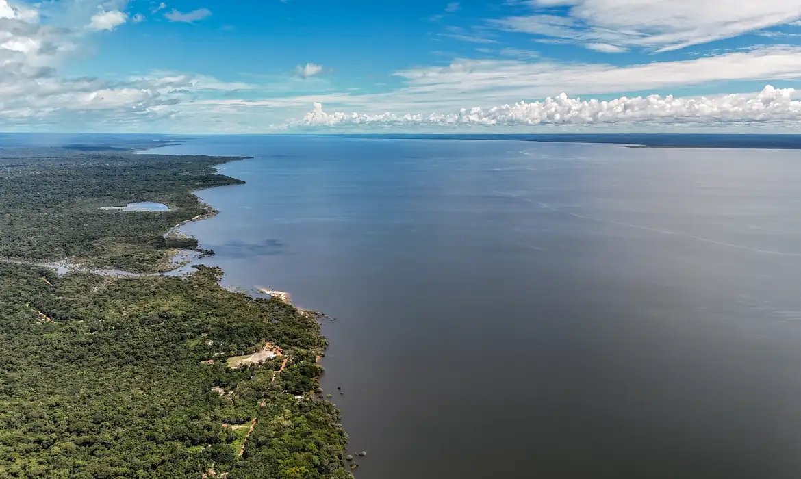 Dia do Meio Ambiente reforça importância de ações sustentáveis no país