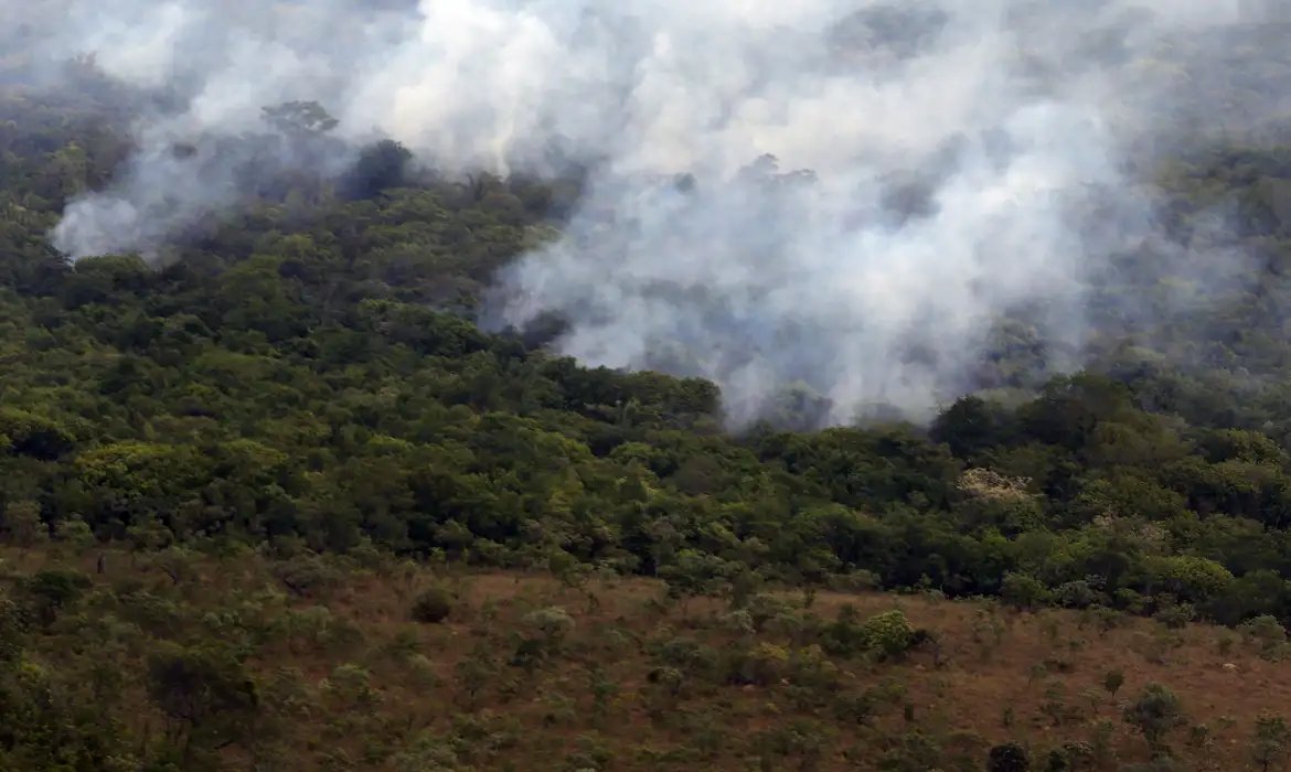 Copernicus: emissão global de gases por incêndios é a menor em 24 anos