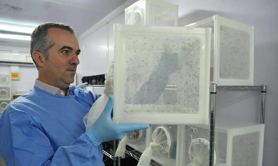 Brasileiro criador do \"Aedes\" que bloqueia dengue é eleito pela Nature