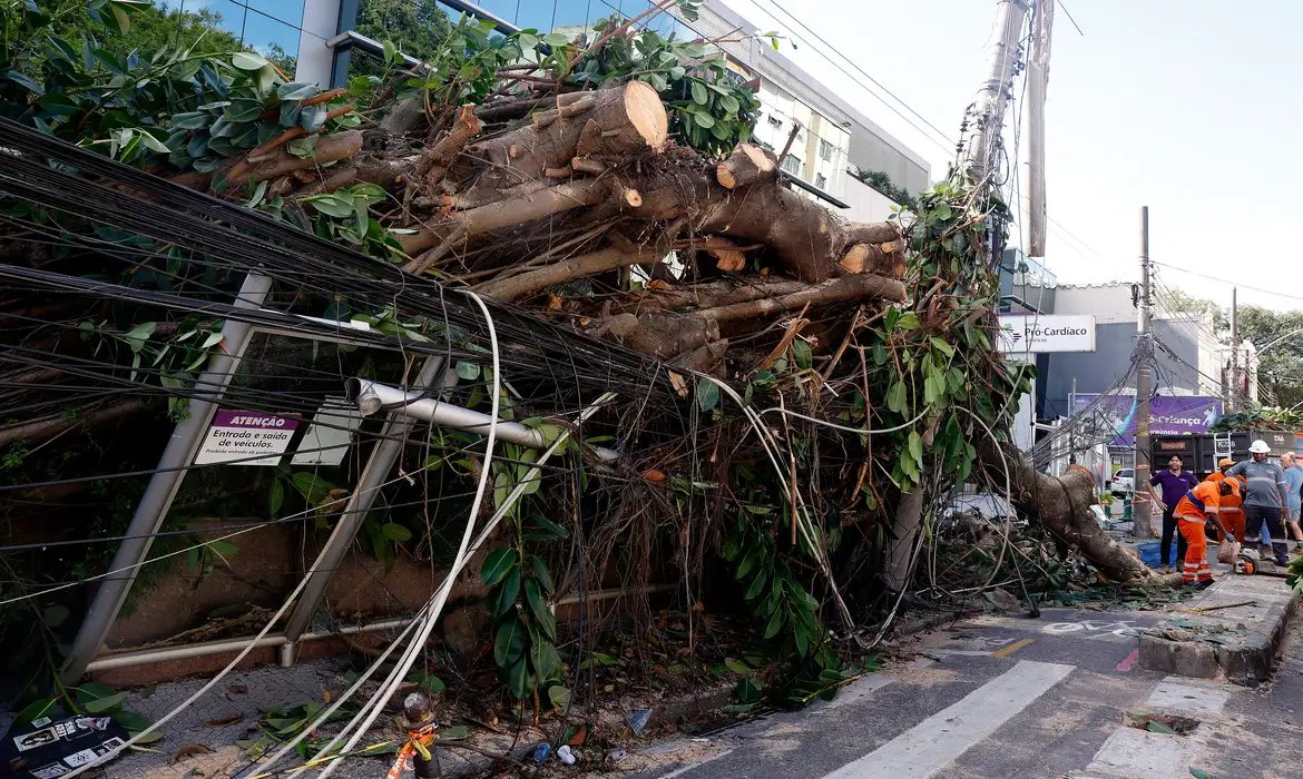 Ventania em SP, RS e RJ expõe falhas na resposta a extremos climáticos