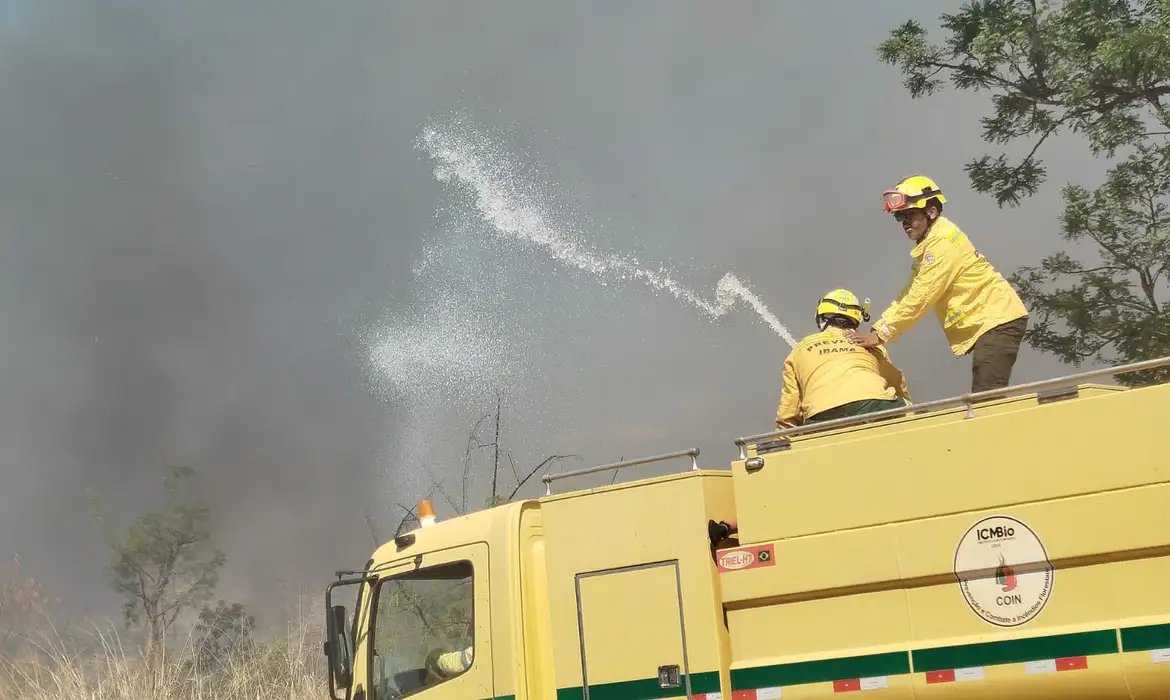 Bombeiros controlam incêndio em área de mata na UnB