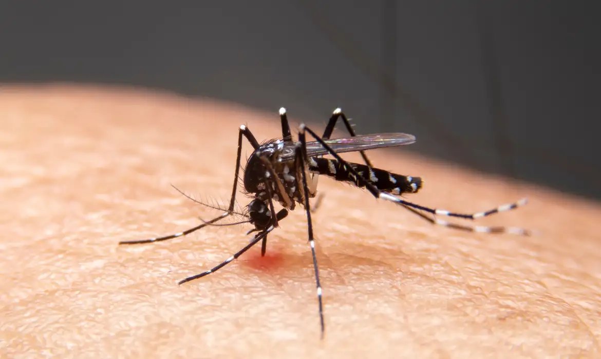 Mudanças climáticas já causam aumento de doenças infecciosas no país
