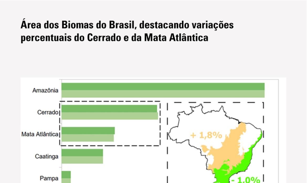 IBGE revisa limites de Cerrado e Mata Atlântica entre Minas e SP
