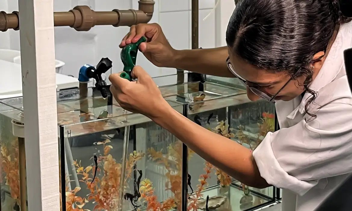 Projeto abre espaço para público conhecer habitat dos cavalos marinhos