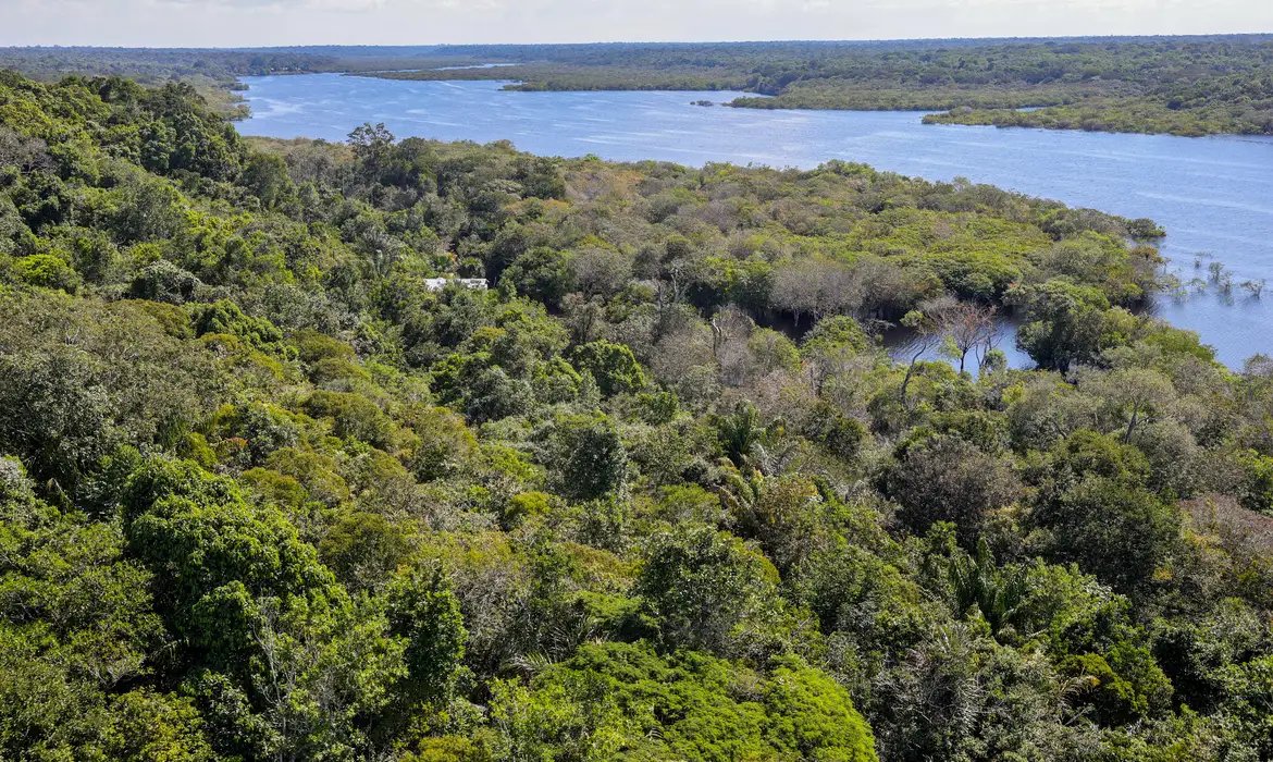 Plano para biodiversidade prevê criação de unidades de conservação