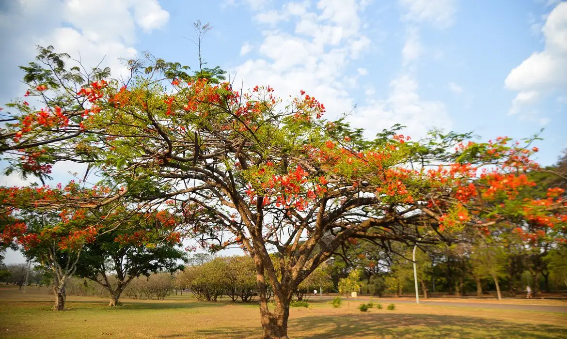 Verão chega ao fim no Brasil; outono começa oficialmente nesta sexta