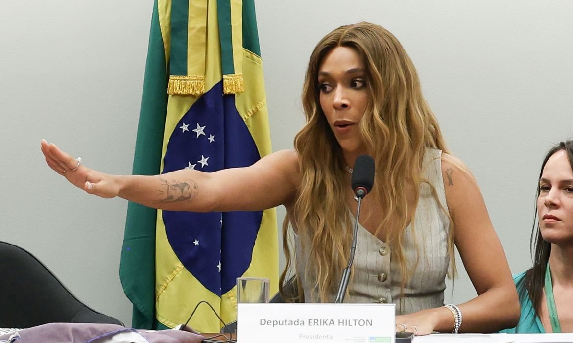 Comissão enfrentará \"sistema organizado de opressão\", diz Erika Hilton
