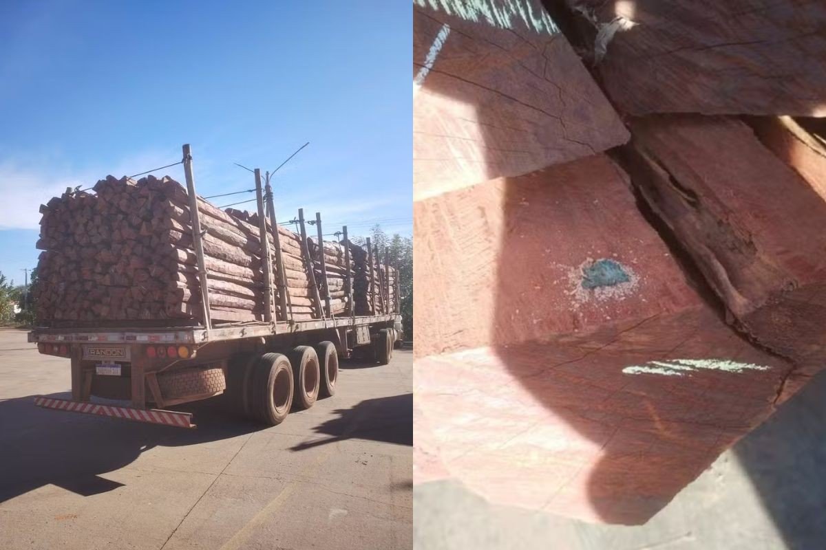 Polícia da Bolívia contesta existência de cocaína em carga de 260 toneladas de madeira apreendida em MS e MT