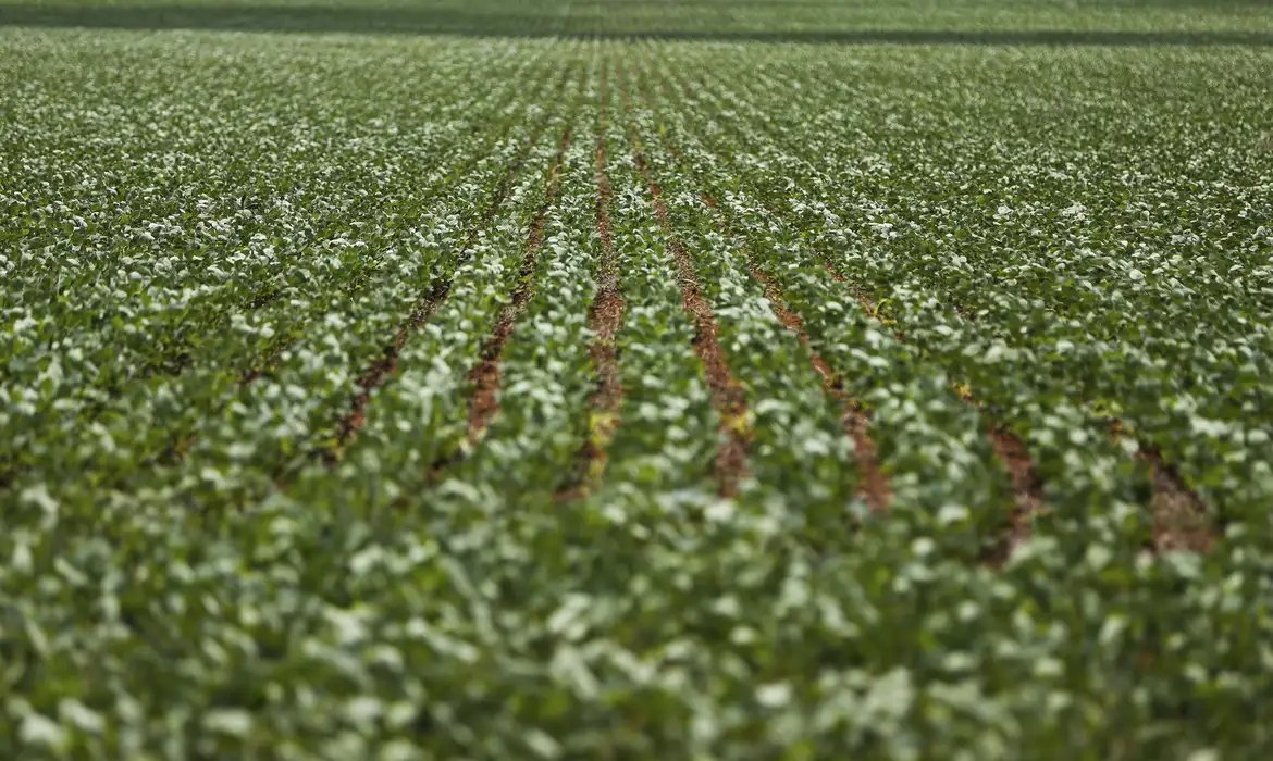 Reunião com bancada do agro termina sem acordo sobre dívidas rurais