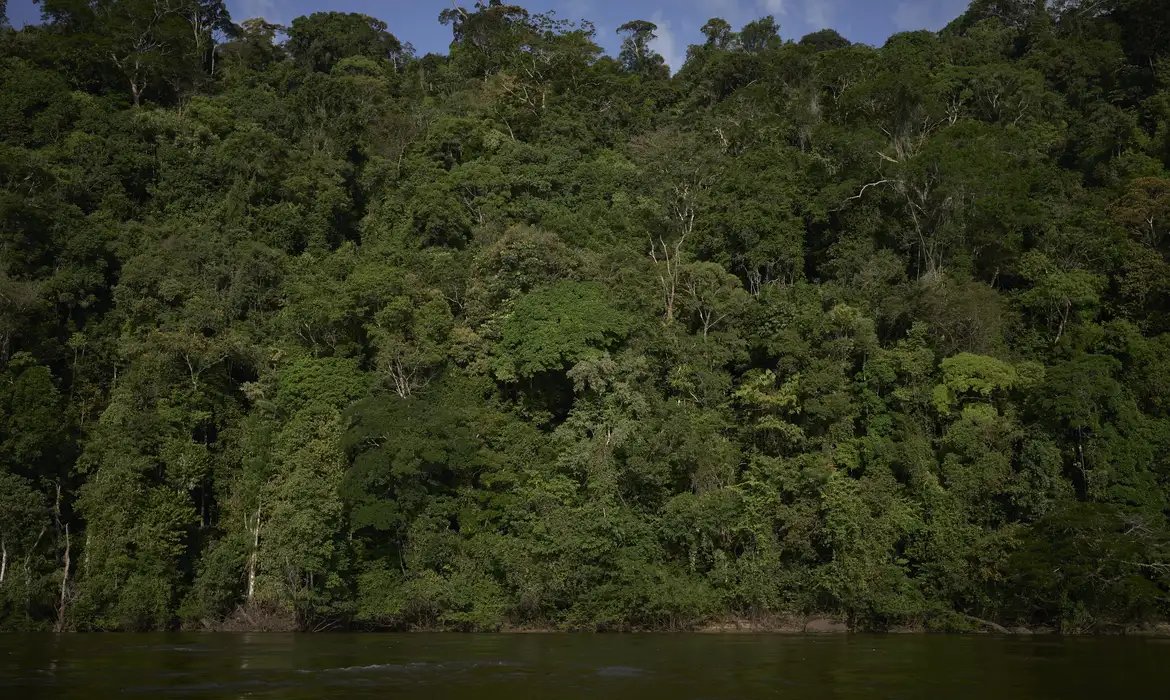 Vetos à Lei de Licenciamento Ambiental entram na pauta do Congresso