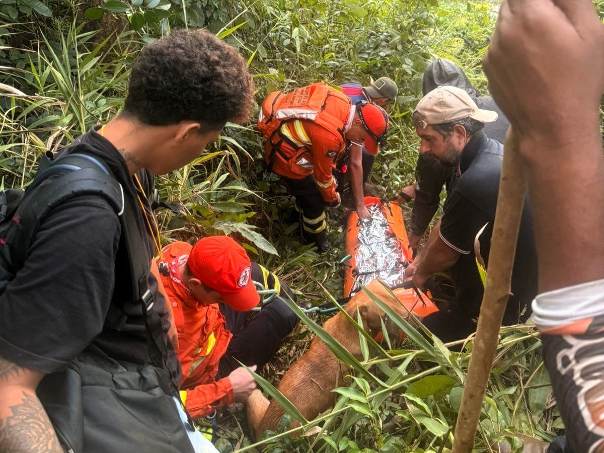 Mulher desaparecida há 6 dias é encontrada viva em garimpo na Terra Indígena Sararé