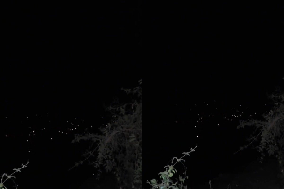 VÍDEO: turistas registram dezenas de olhos de jacarés durante passeio noturno no Pantanal de MT