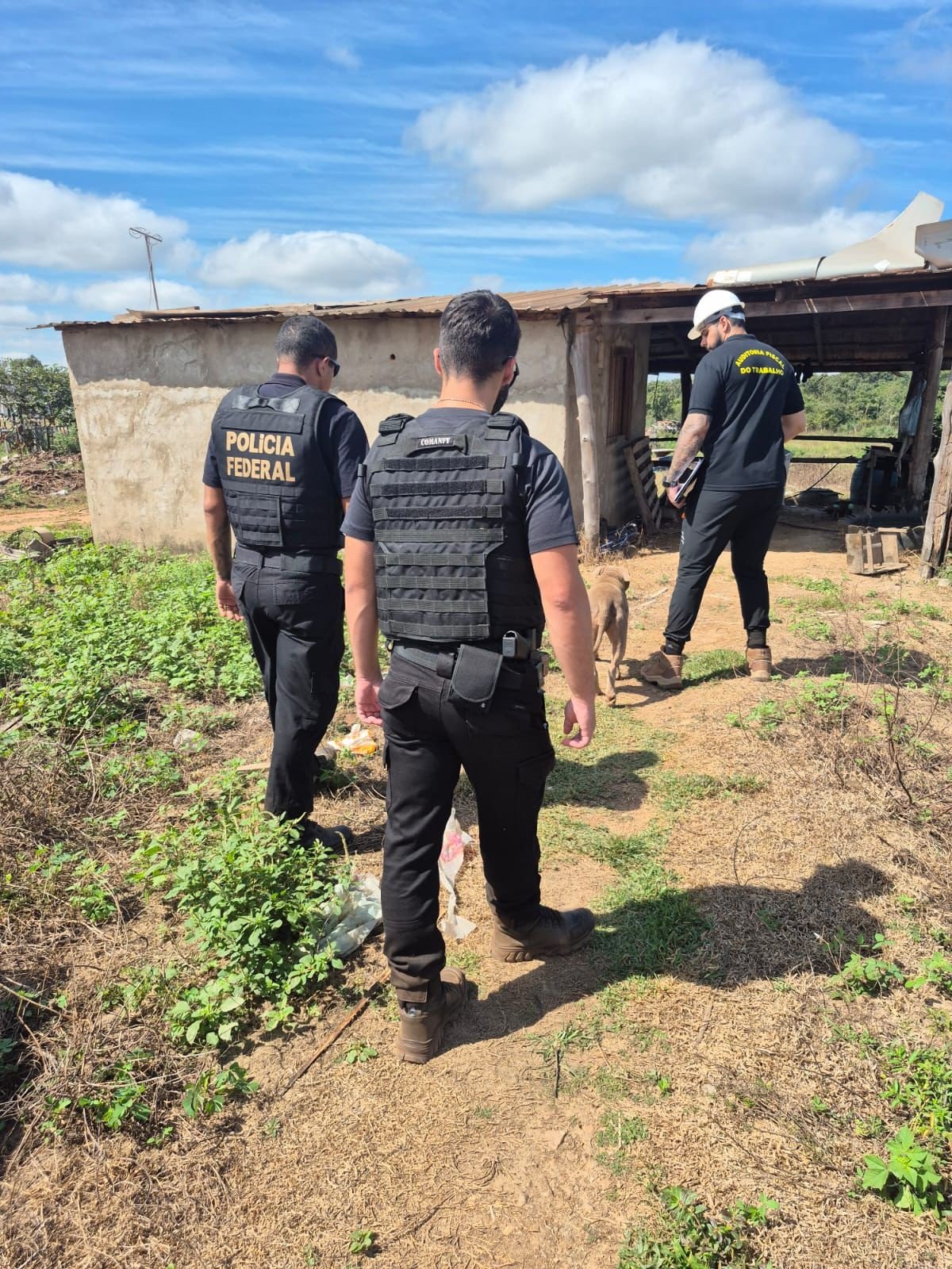 Oito trabalhadores são resgatados de trabalho escravo e 4 adolescentes de trabalho infantil em MT