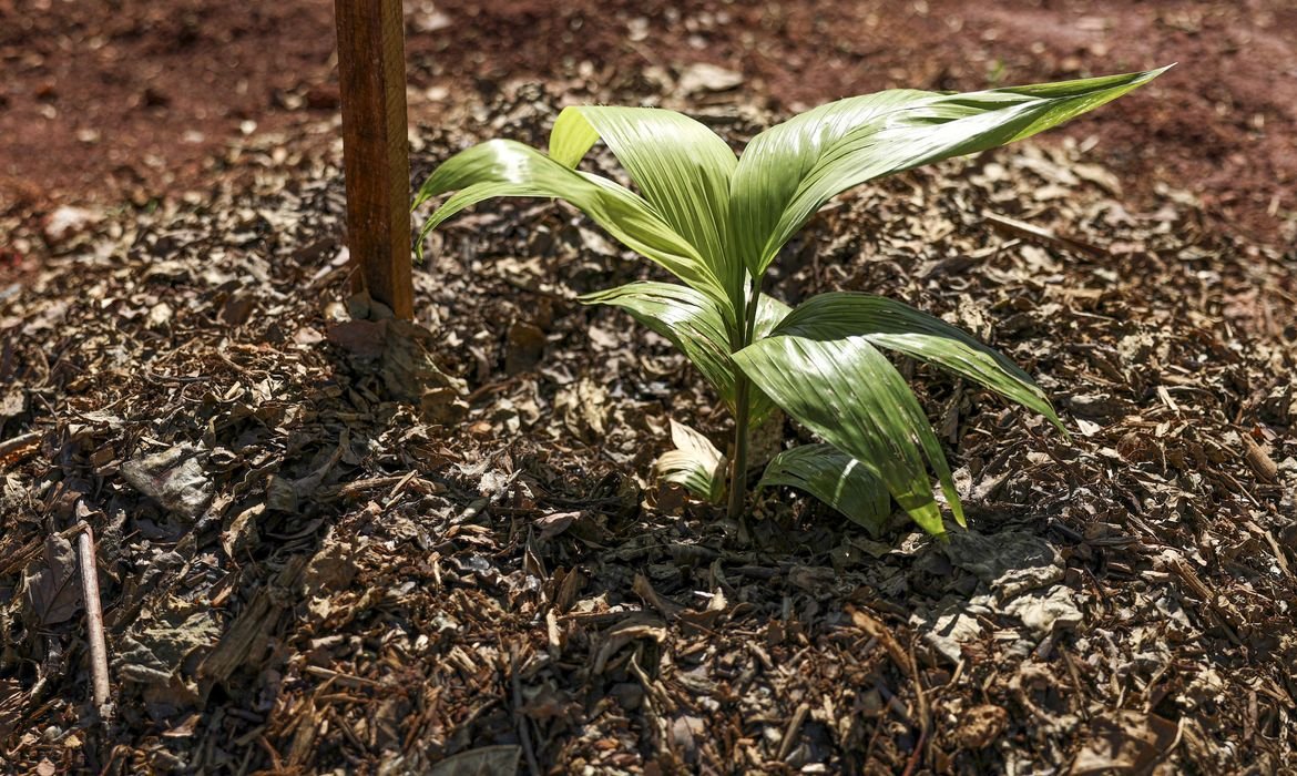 Sesi Lab inaugura espaço que abriga sistema agroecológico educativo
