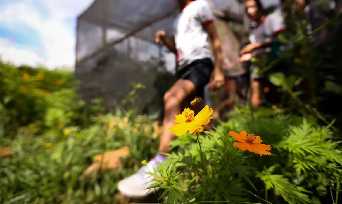 Dia da Educação Ambiental destaca iniciativas de conscientização