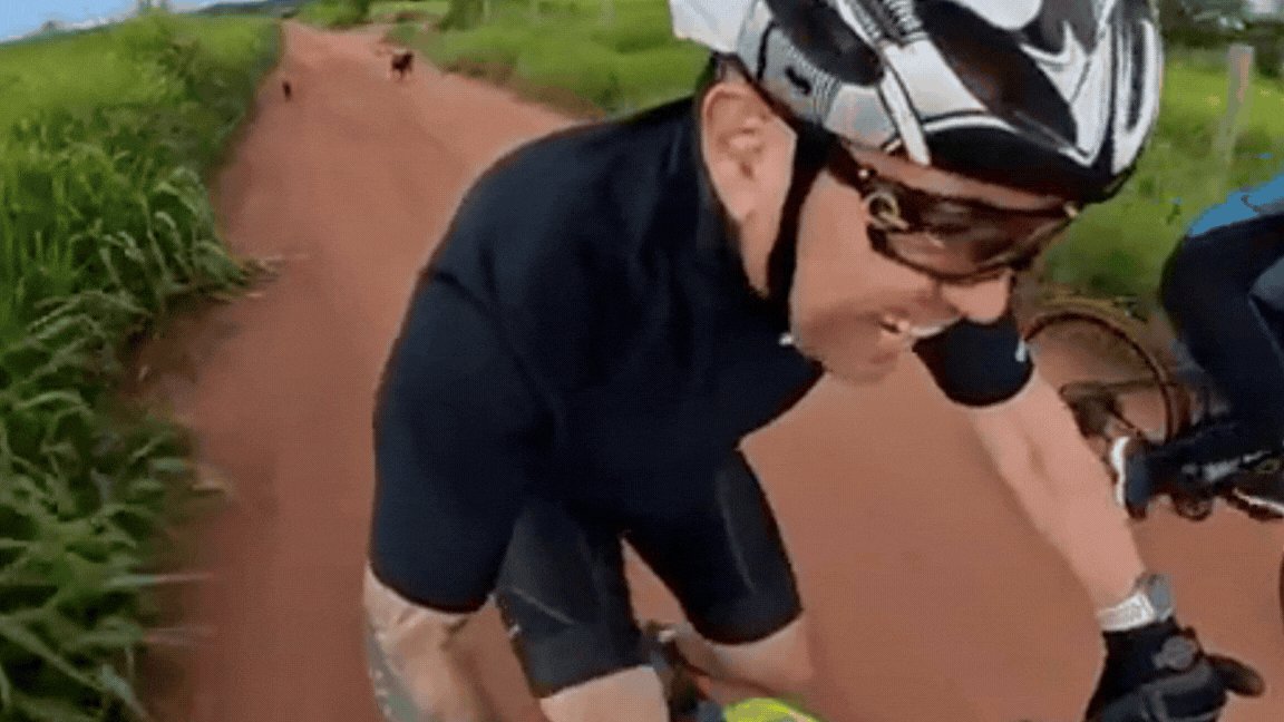 VÍDEO: ciclistas são perseguidos por cães durante pedalada em zona rural de MT