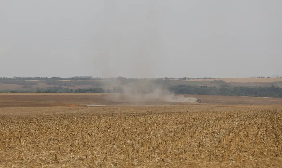 Estudo propõe avanços na rastreabilidade ambiental da soja e da carne