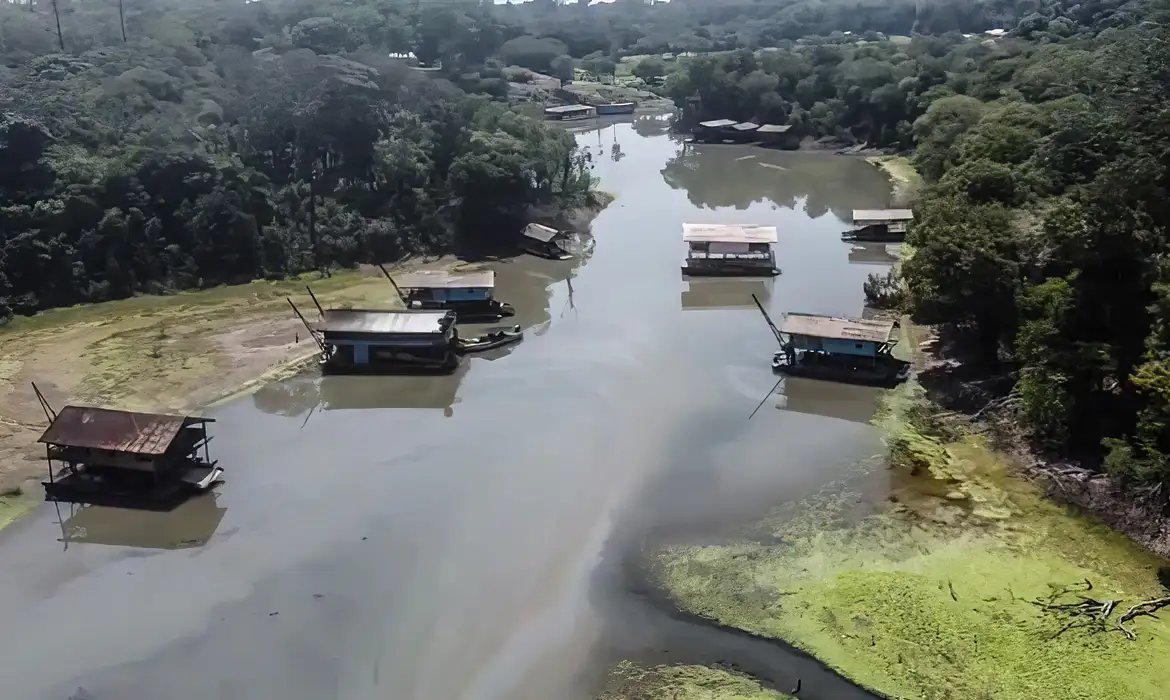 Estudo revela evolução do garimpo ilegal e novas táticas de exploração