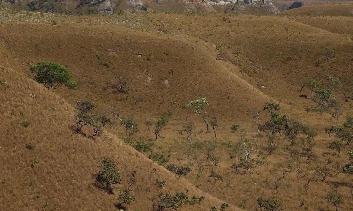 MapBiomas: fragmentação de áreas naturais quase triplicou em 40 anos