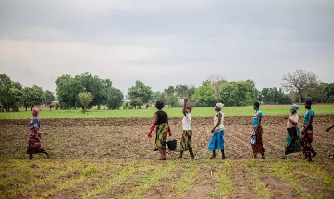 Grande Muralha Verde restaura 1,66 milhão de hectares na África