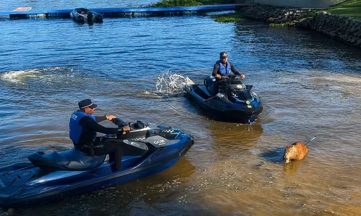 Capivara é morta com flechada na represa de Guarapiranga em SP