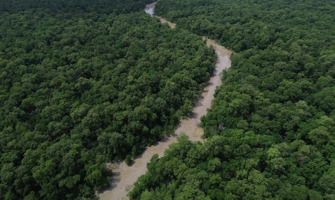 Consórcio da Amazônia Legal debate políticas públicas
