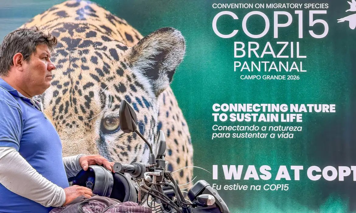 COP15 inclui mais 40 espécies migratórias em lista de proteção