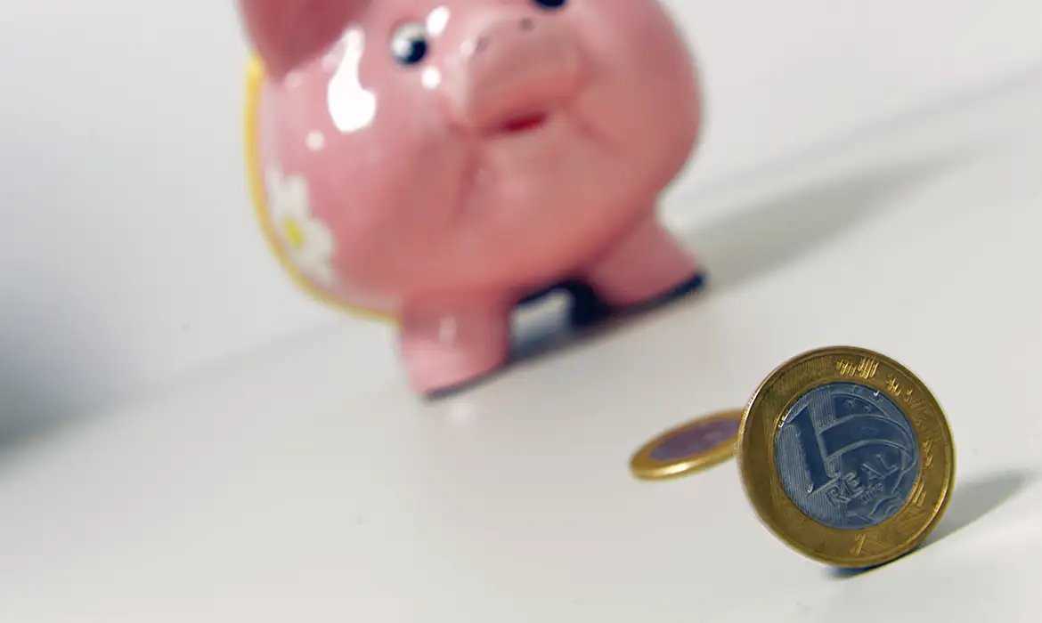 Entenda como funciona investir no Tesouro Reserva