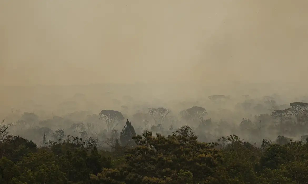 Ibama conta 4,6 mil brigadistas para combater incêndios neste ano