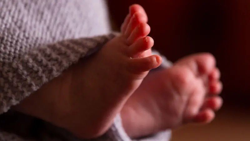 Helena, Cecília e Miguel: confira os nomes mais registrados em Mato Grosso em 2025
