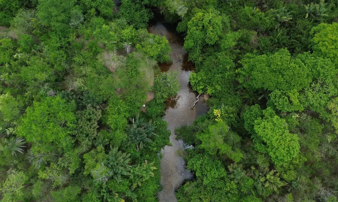 Área queimada no Brasil fica 31% abaixo da média histórica em 2025