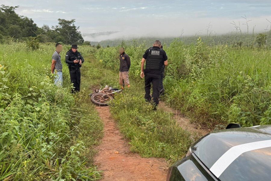Seis são presos em operação contra grupo investigado por exploração ilegal de madeira em terra indígena de MT