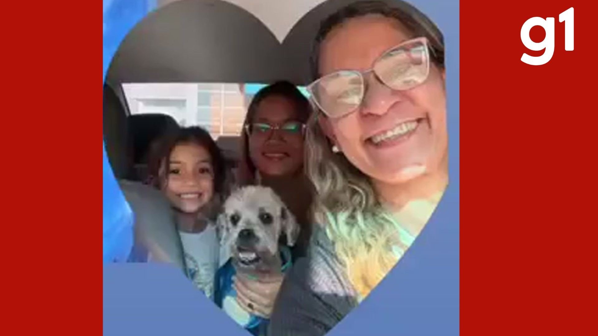 Caso Teddy: cachorro que sofreu queimaduras em pet shop clandestino  recebe alta em Cuiabá