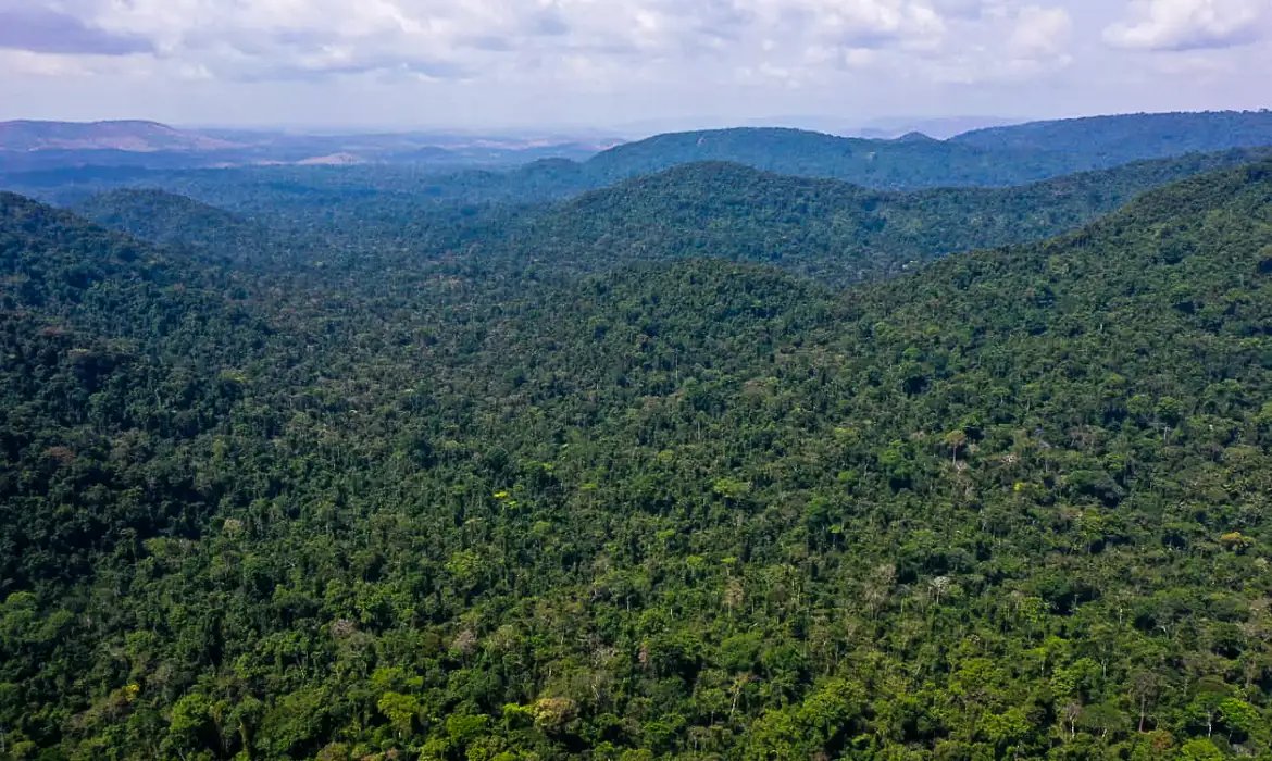 Desmatamento no Amazonas caiu 32% entre agosto e fevereiro deste ano