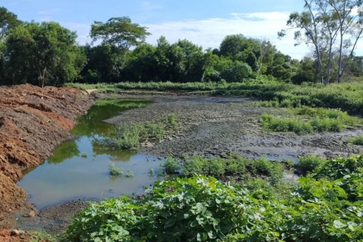 Área rural é embargada após derramamento de esgoto em córrego em MT