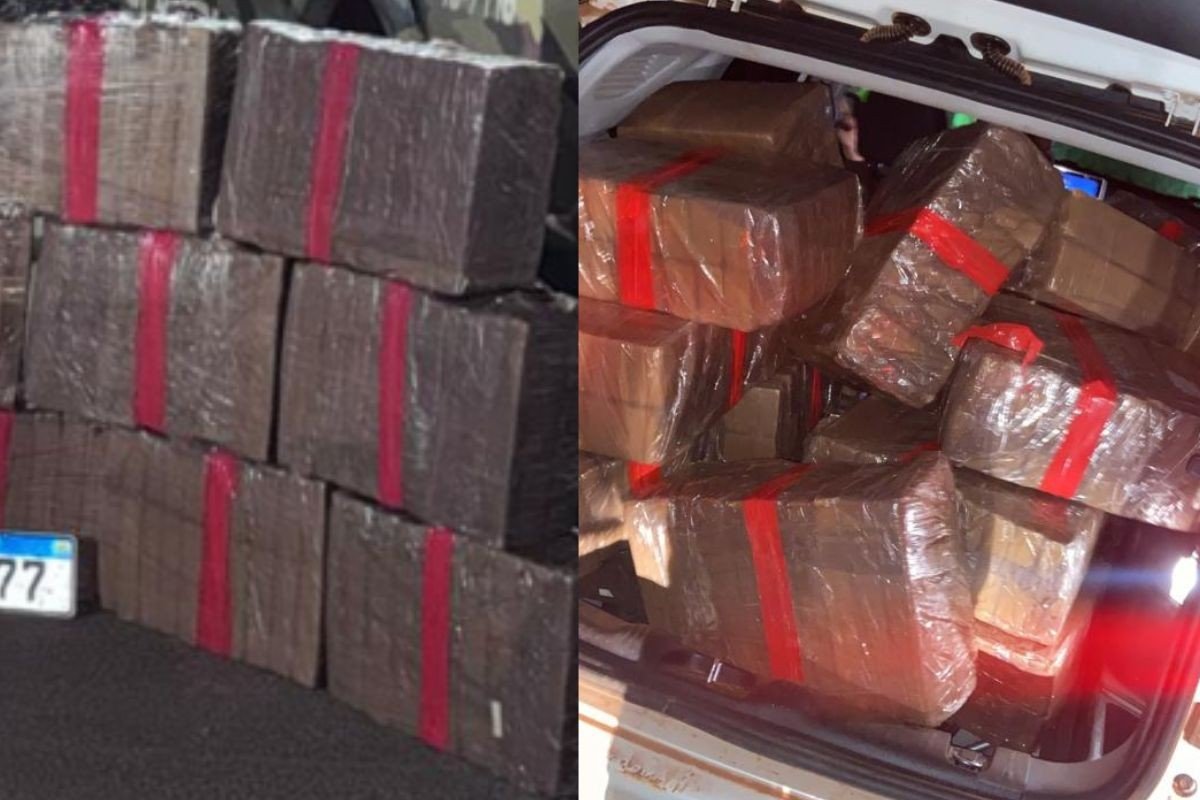 Dois homens são presos e mais de 500 kg de maconha são apreendidos na BR-158 em MT
