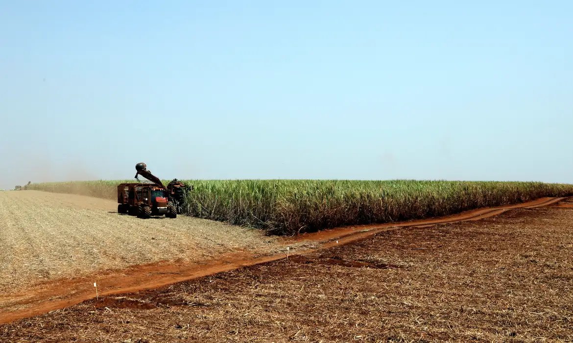 IBGE prevê safra recorde de 346 milhões de toneladas em 2025