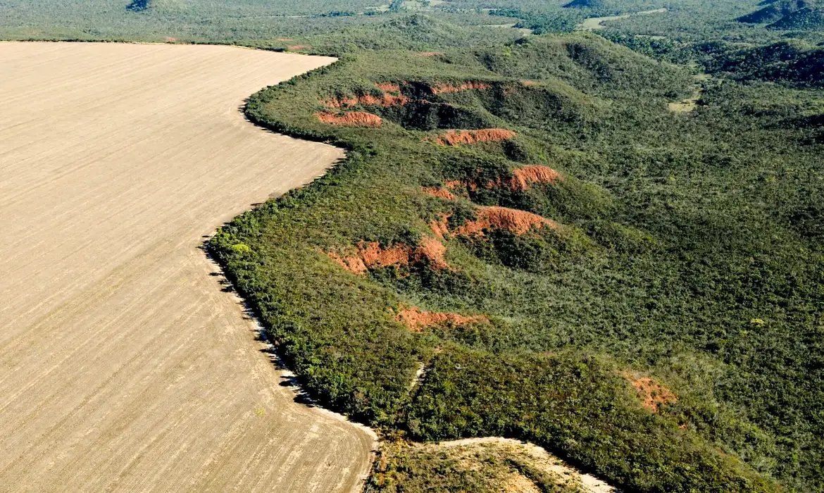 Universidades se unem para promover medidas de preservação do Cerrado
