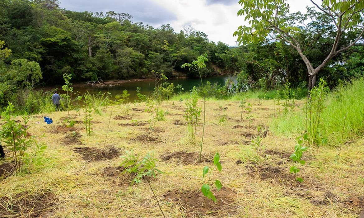 Serrinha do Paranoá (DF) vira parque para proteger ecossistemas