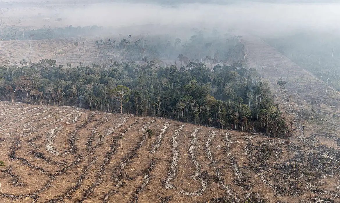 Inpe revela que o Amazonas registrou queda de 80% no número incêndios 