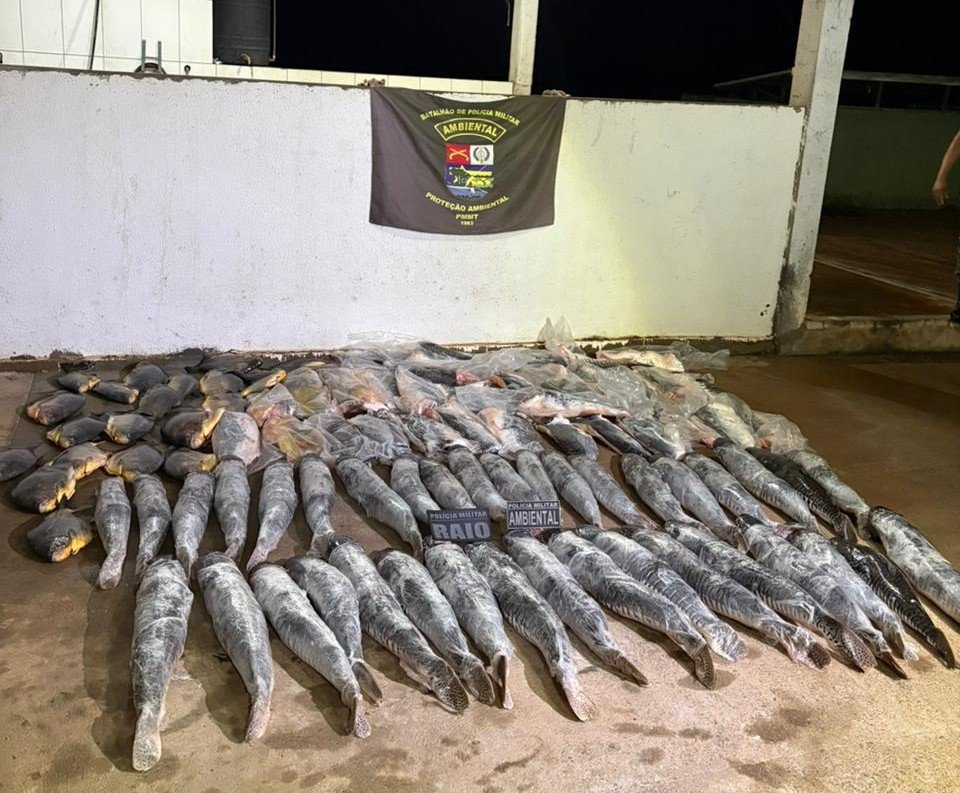 Motorista é preso transportando mais de 300 kg de pescado ilegal em Cuiabá