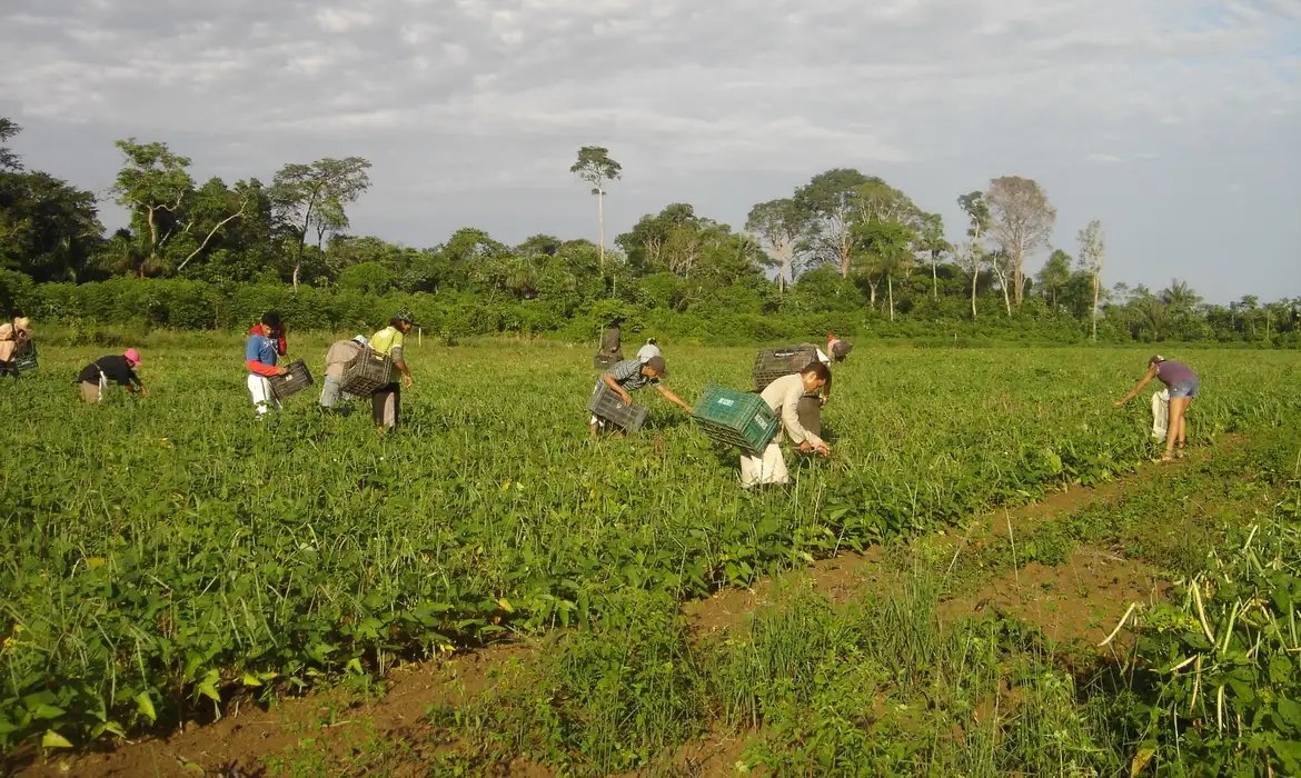 Prêmio para produção acadêmica destaca agricultura familiar