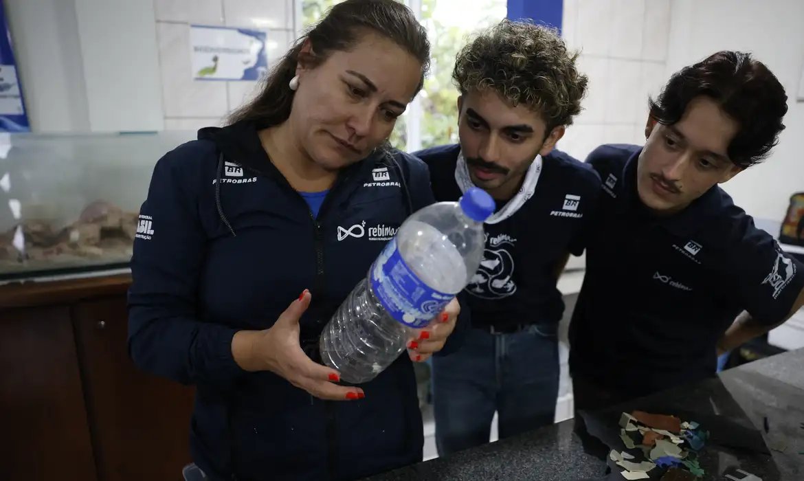 Mais de 93% dos peixes vendidos no litoral do Paraná têm microplástico