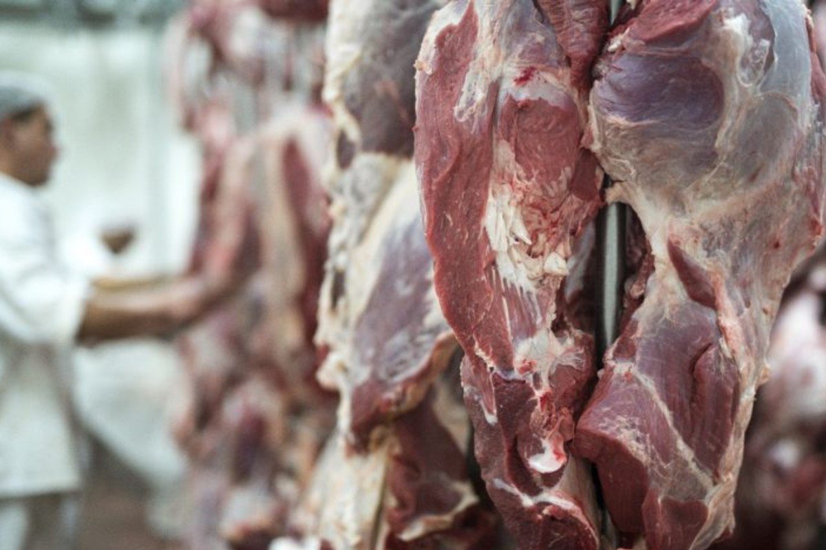 Brasil deve atingir cota de exportação de carne para a China em agosto, e preço do boi gordo cai
