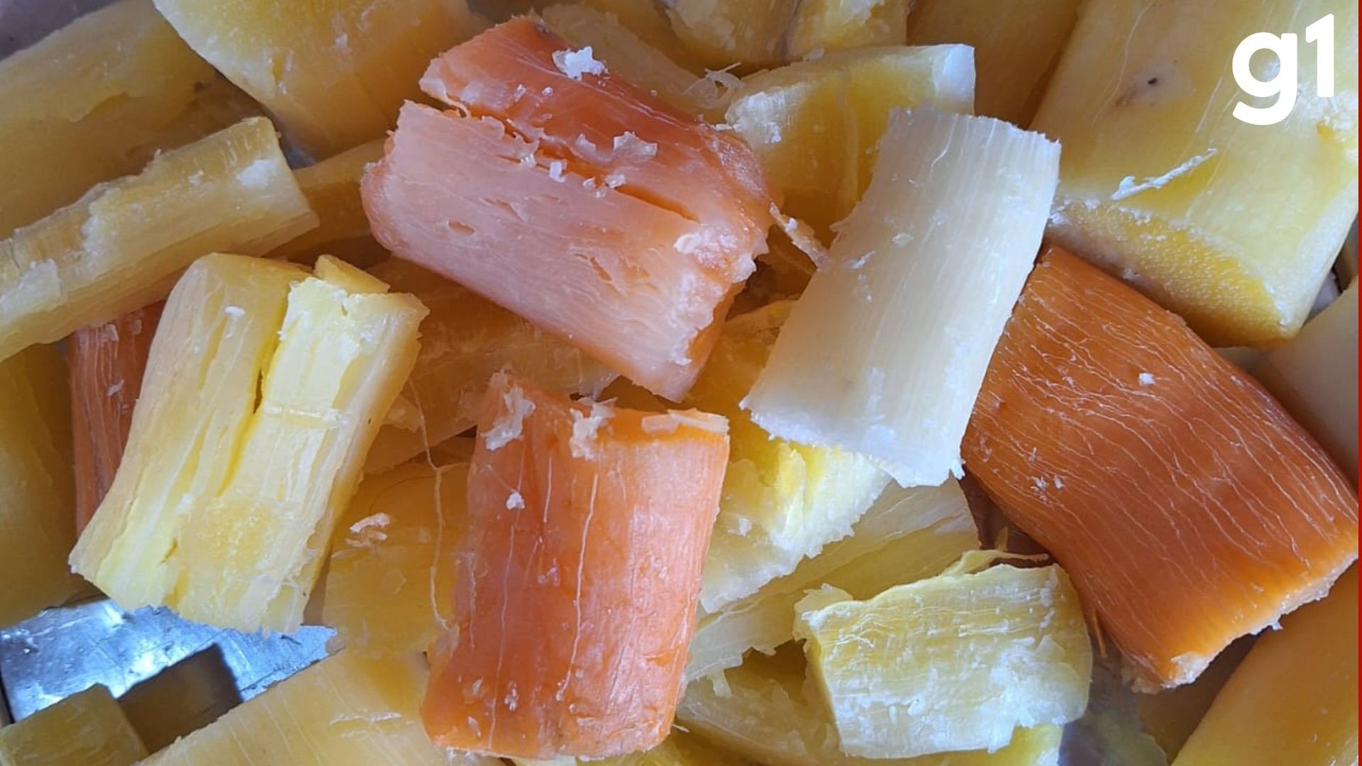'Superalimento': pesquisa da UFMT transforma descarte da mandioca em ração para o gado em época de seca