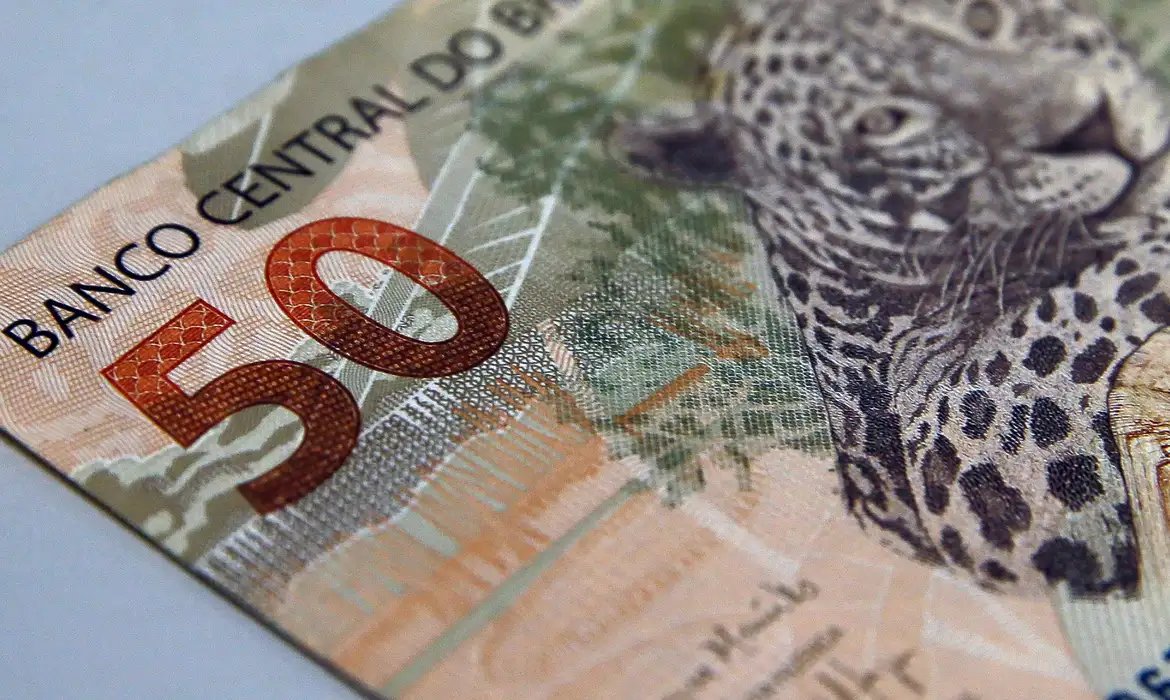Fundações sem fins lucrativos pagam salários maiores que empresas